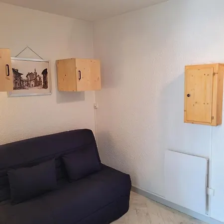 Pied Des Pistes Et Commerces Apartment *